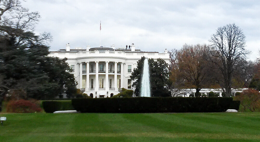 Certificate of Naturalization: How to Make an Application